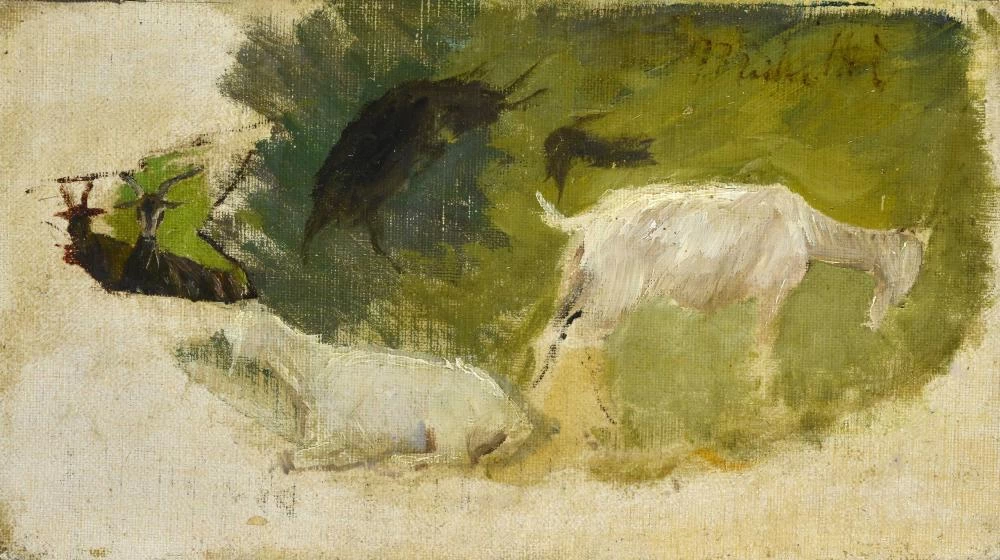 Francesco Paolo Michetti - 205, Studio per capre